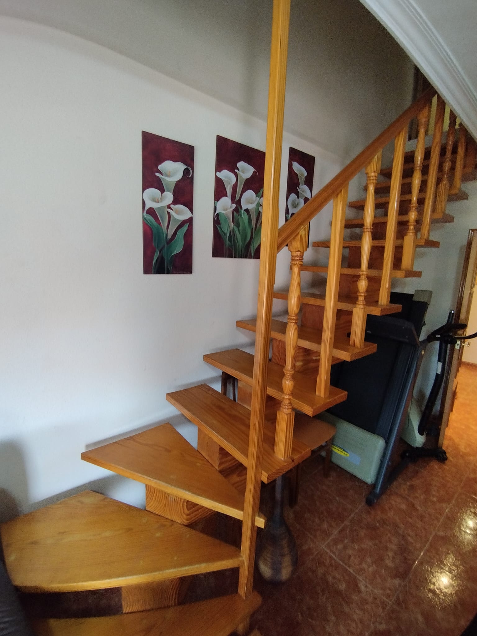 49909_foto 1 (11).jpeg